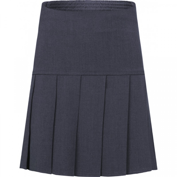 School Skirt Pleated Skirt